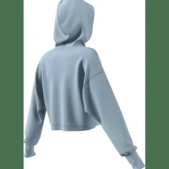 ALL SZN French Terry 3-Stripes Damen Kapuzensweater