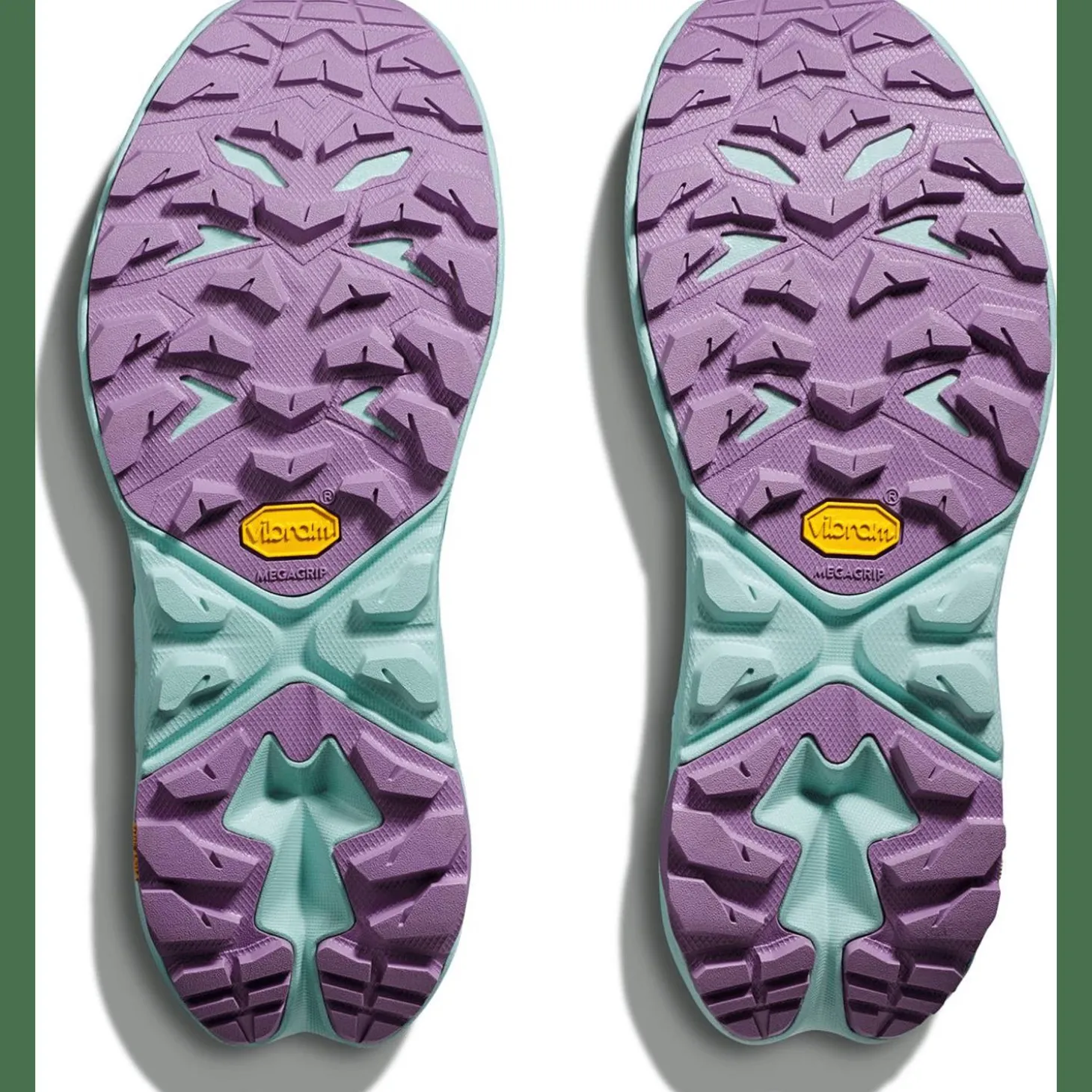 Anacapa 2 Low GTX Damen Trekkingstiefel