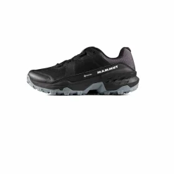 Girun II Low GTX Damen Multifunktionsschuhe