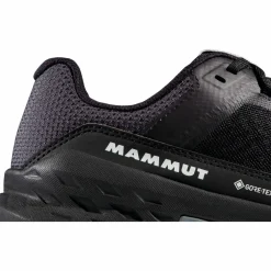 Girun II Low GTX Damen Multifunktionsschuhe