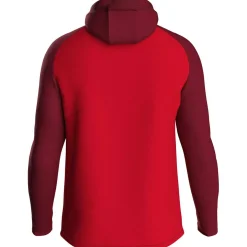 Iconic Damen Kapuzensweater