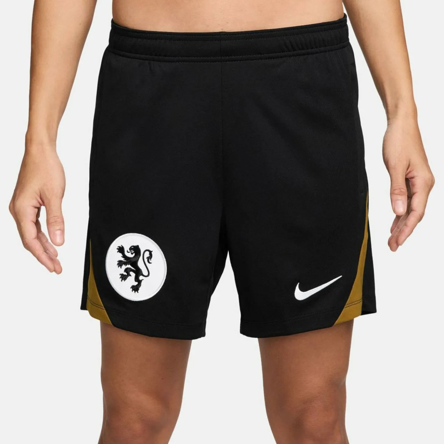 Niederlande Dri-Fit Strike KZ Damen Shorts