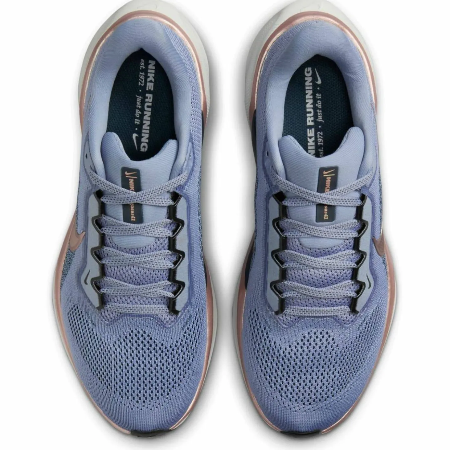 Pegasus 41 Road Damen Laufschuhe