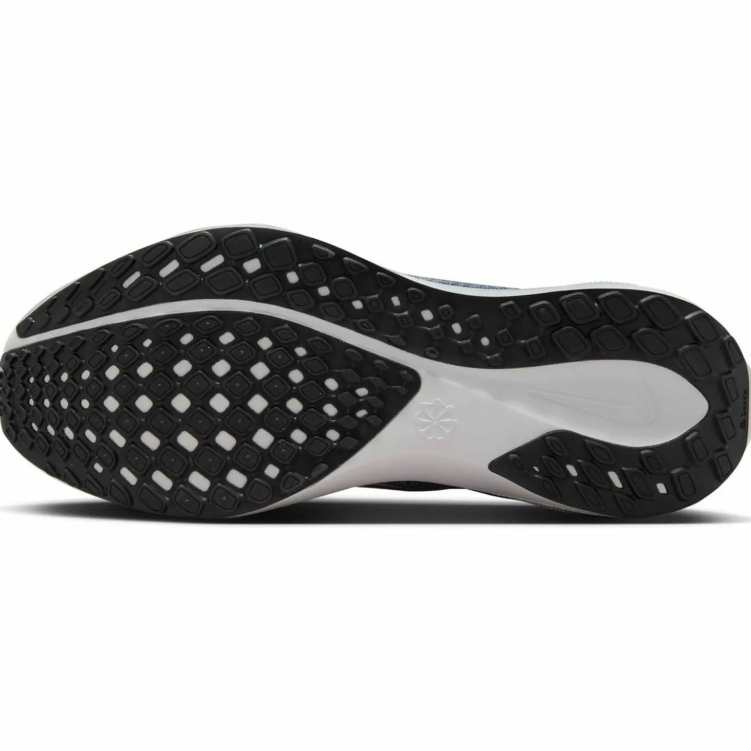 Pegasus 41 Road Damen Laufschuhe