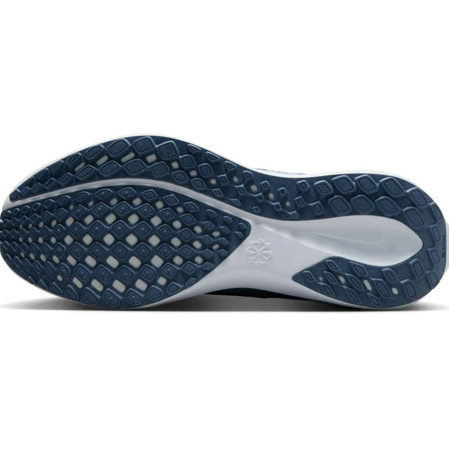 Pegasus 41 Road Damen Laufschuhe