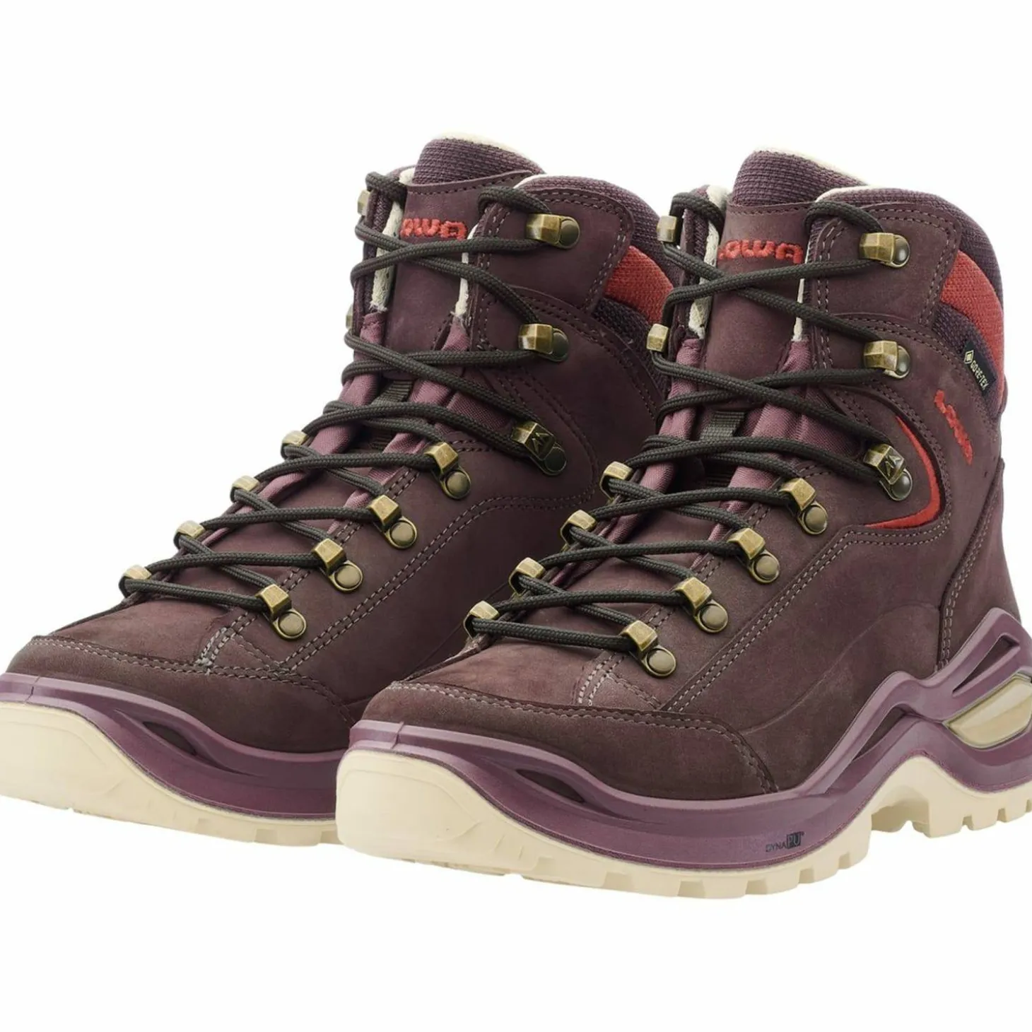 Renegade Evo GTX Mid Damen Multifunktionsschuhe