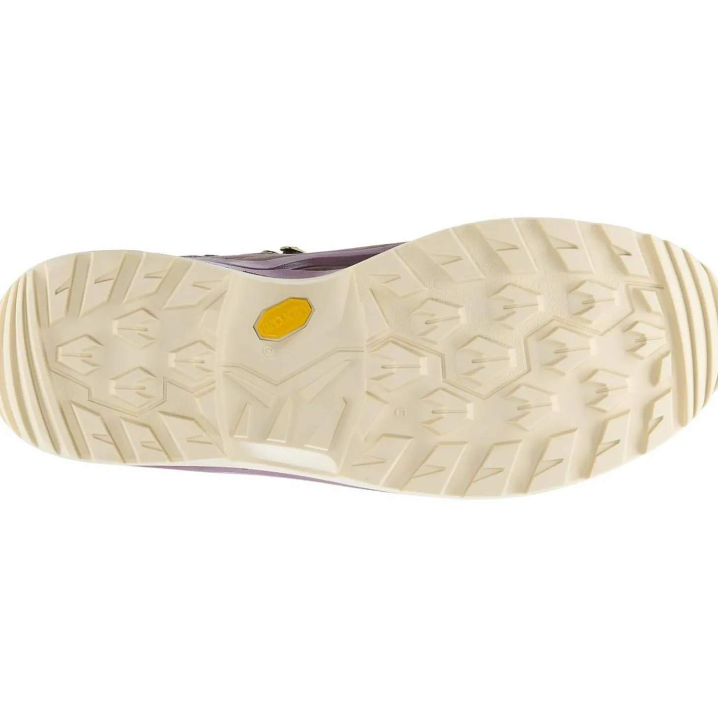 Renegade Evo GTX Mid Damen Multifunktionsschuhe