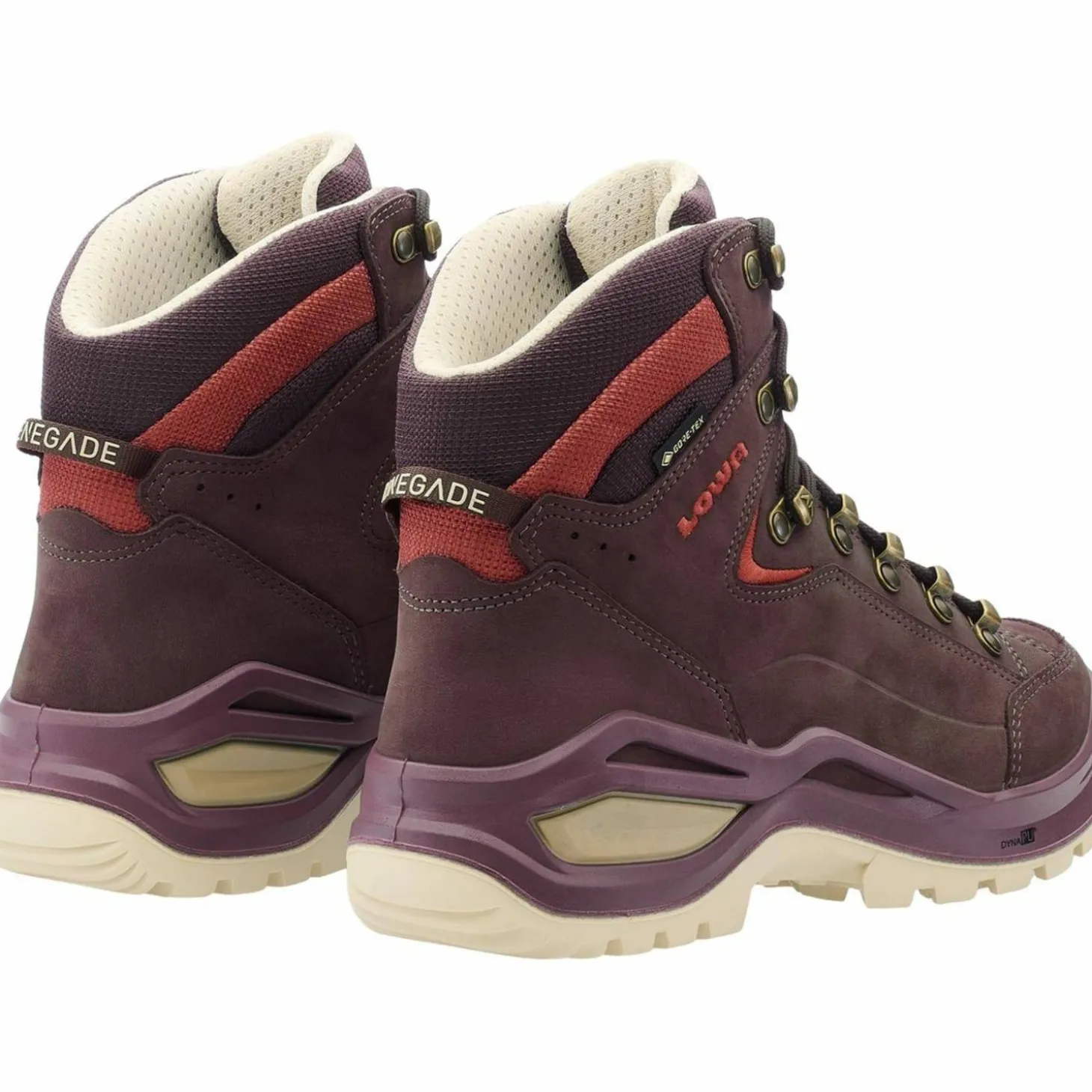 Renegade Evo GTX Mid Damen Multifunktionsschuhe