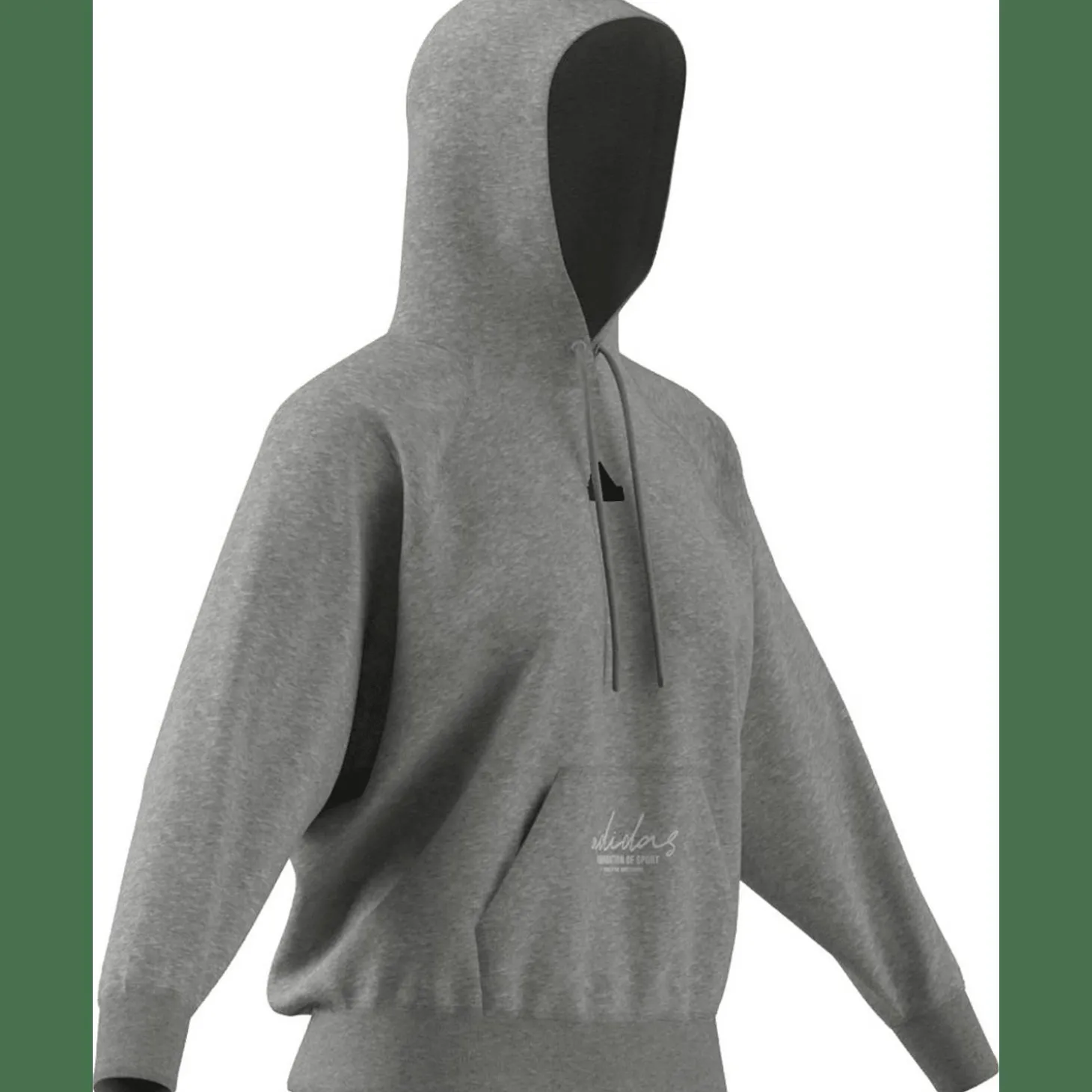 Signature Graphic Embroidery French Terry Loose Damen Kapuzensweater