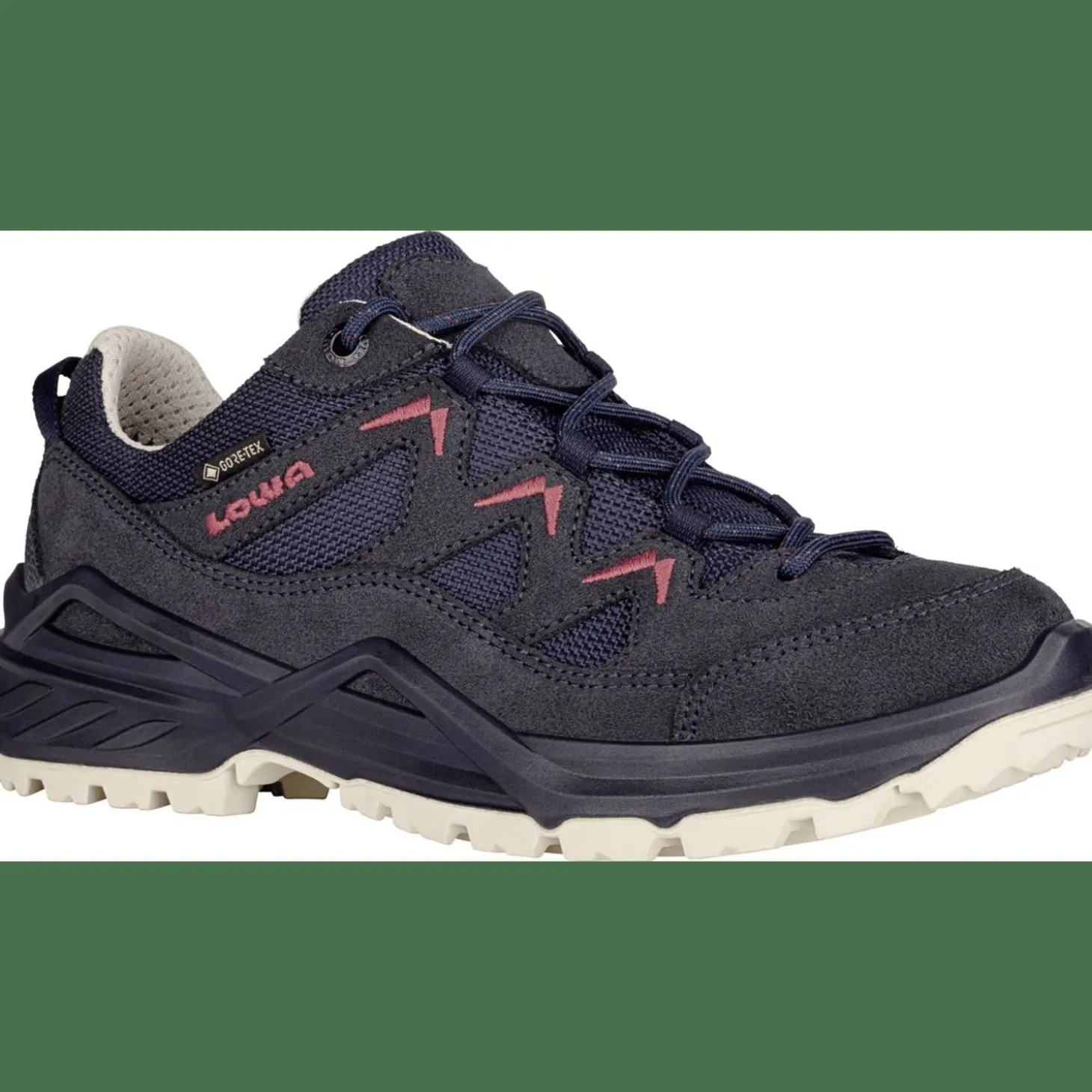Sirkos EVO GTX Low Damen Multifunktionsschuhe