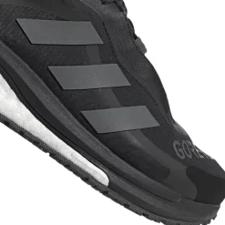 SolarGlide 4 GORE-TEX Laufschuh Damen Laufschuhe