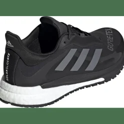 SolarGlide 4 GORE-TEX Laufschuh Damen Laufschuhe