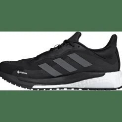 SolarGlide 4 GORE-TEX Laufschuh Damen Laufschuhe