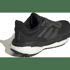 Solarglide 5 GORE-TEX Schuh Damen Laufschuhe