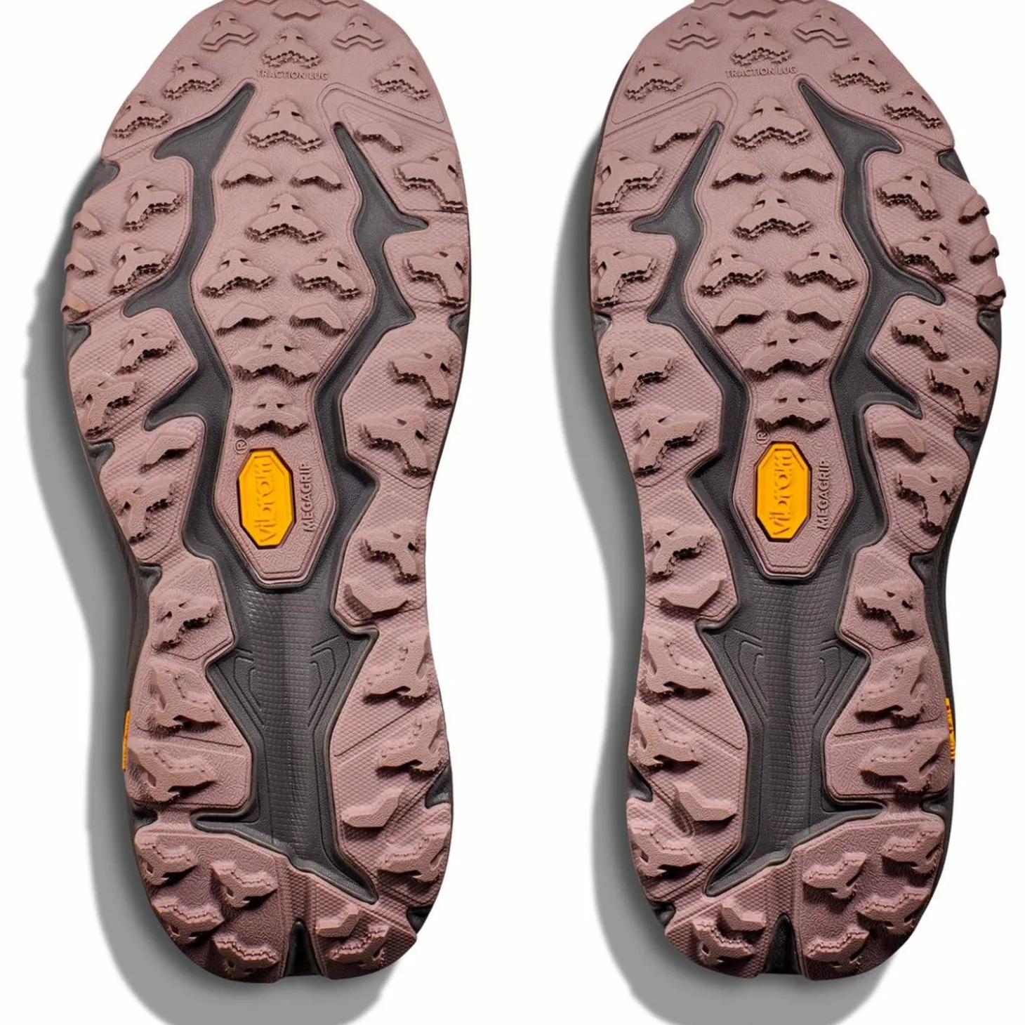 Speedgoat 6 GTX Damen Trailrunningschuhe
