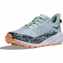 Speedgoat 6 GTX Damen Trailrunningschuhe