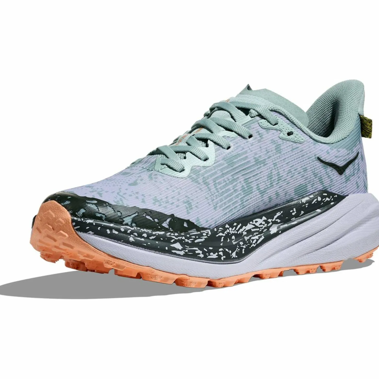 Speedgoat 6 GTX Damen Trailrunningschuhe