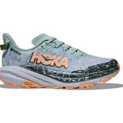 Speedgoat 6 GTX Damen Trailrunningschuhe