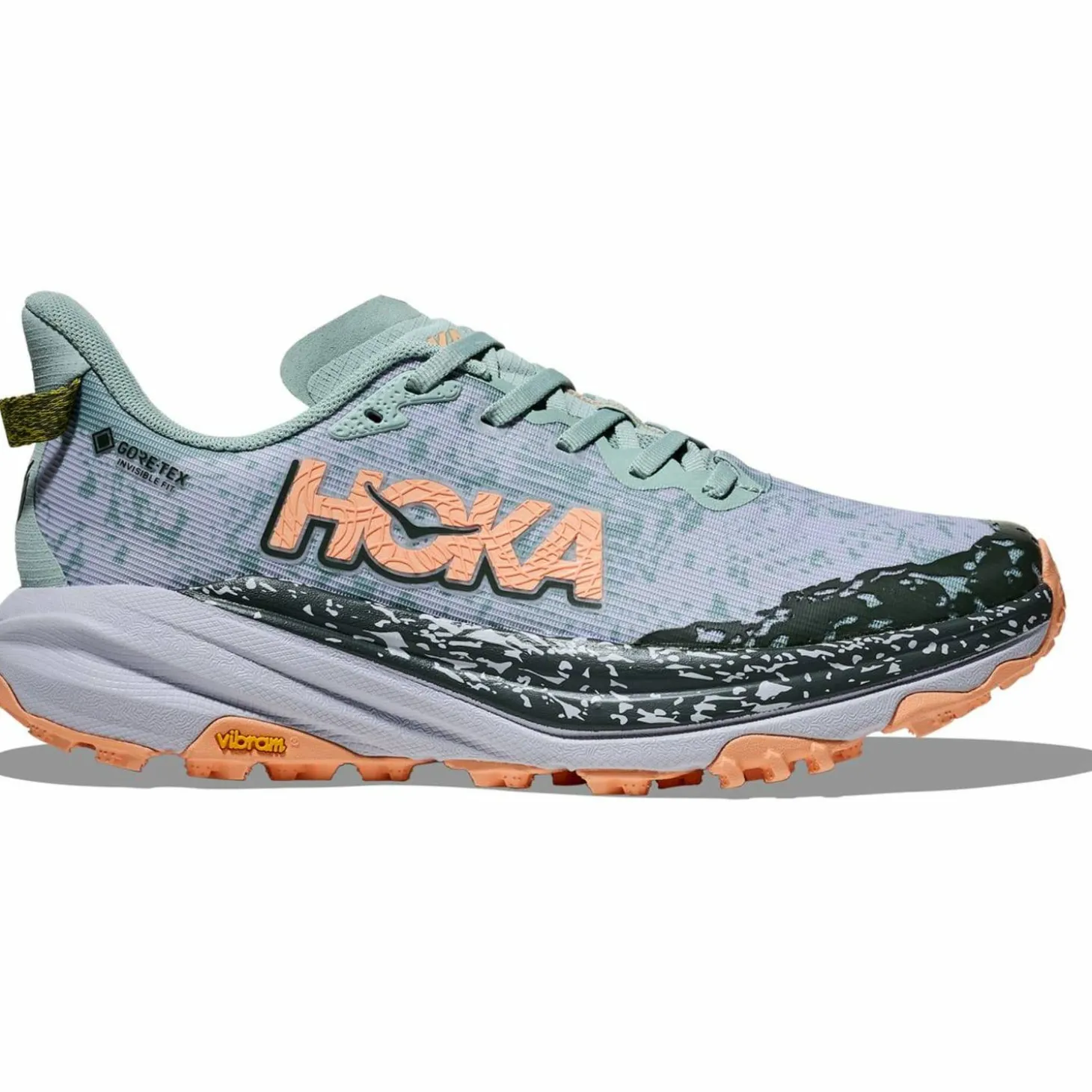 Speedgoat 6 GTX Damen Trailrunningschuhe