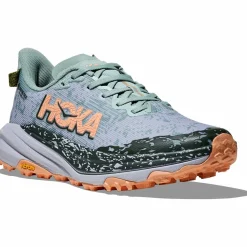 Speedgoat 6 GTX Damen Trailrunningschuhe