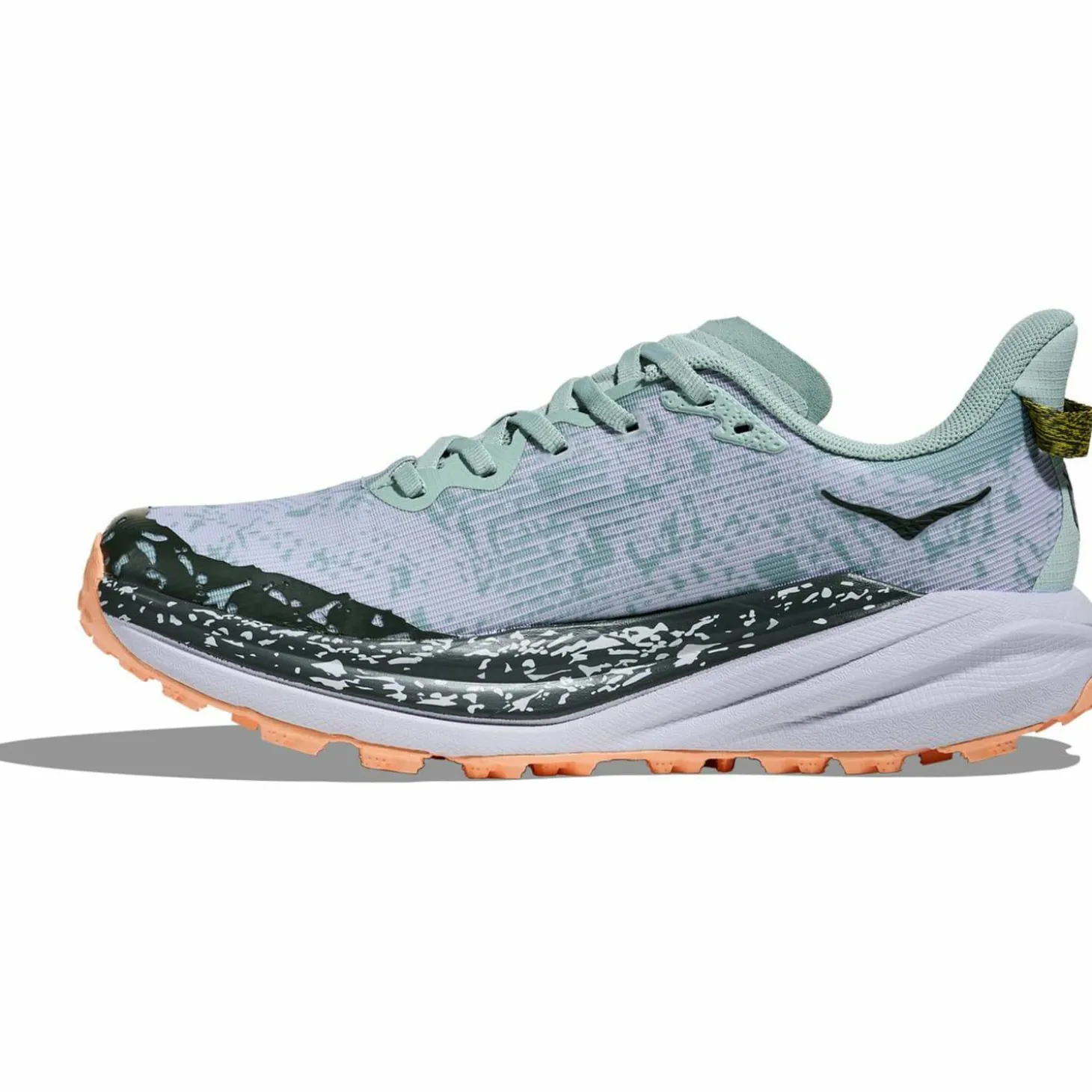 Speedgoat 6 GTX Damen Trailrunningschuhe