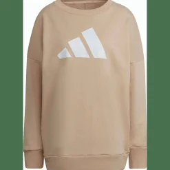 Sportswear Future Icons Sweatshirt Damen Kapuzensweater