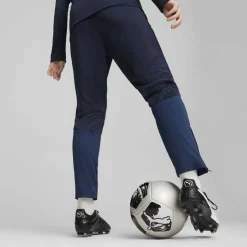 teamGOAL Training Damen Sporthose