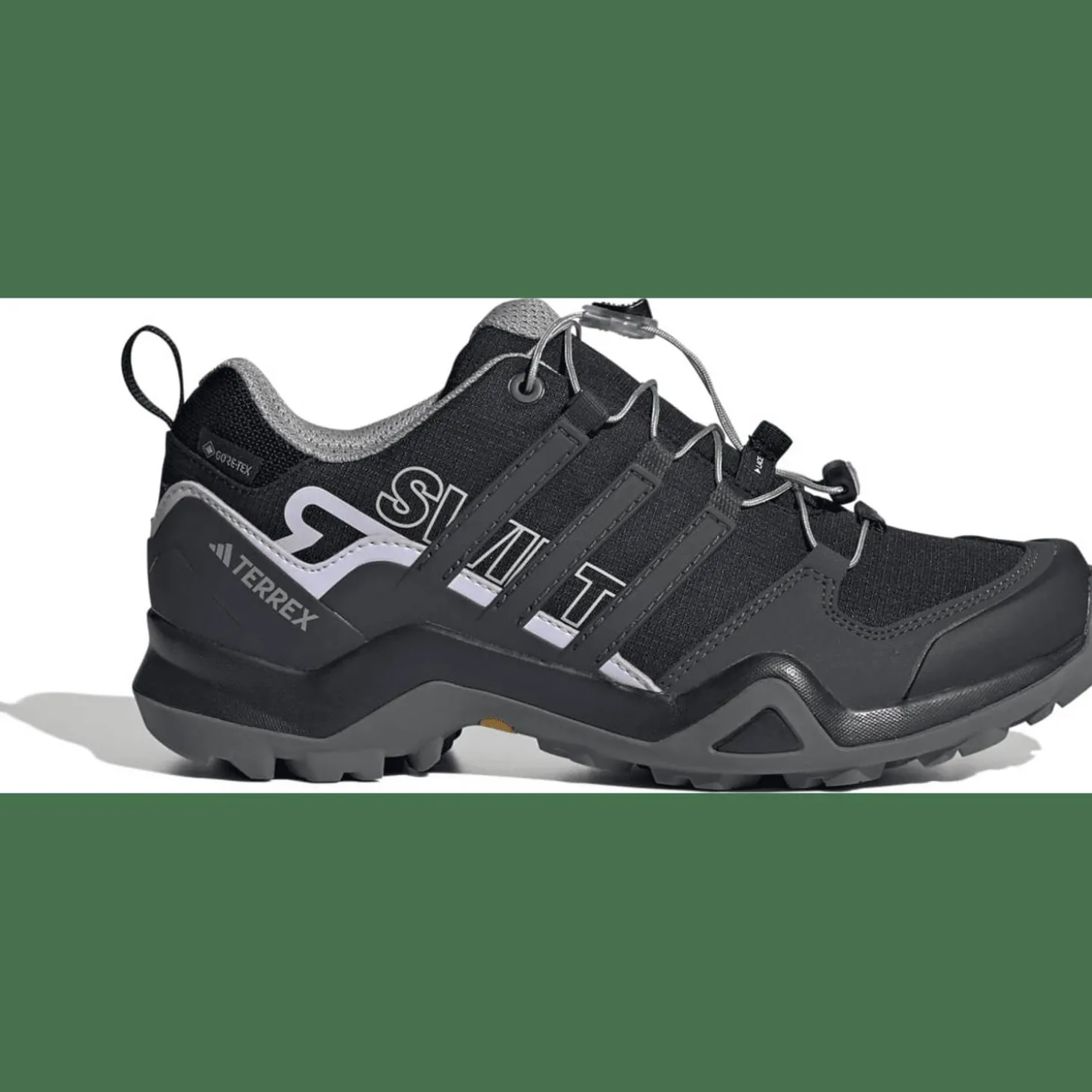 Terrex Swift R2 Gore-Tex Wanderschuh Damen Multifunktionsschuhe