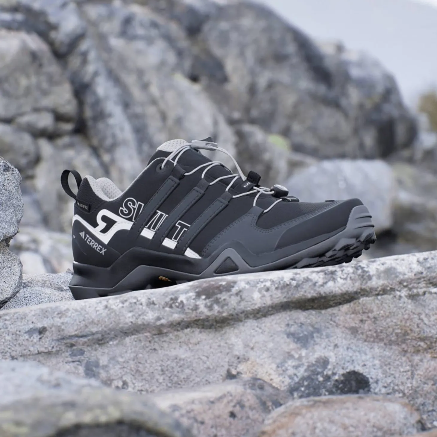 Terrex Swift R2 Gore-Tex Wanderschuh Damen Multifunktionsschuhe