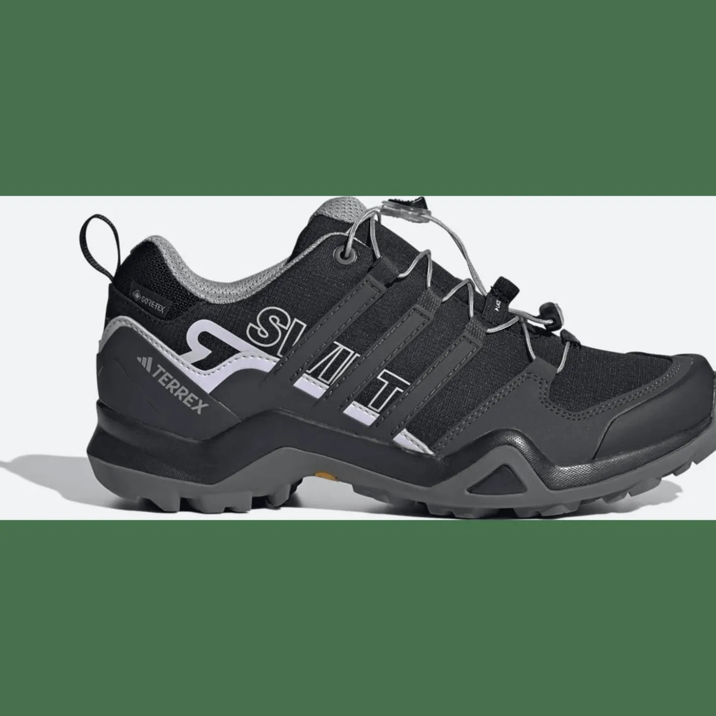 Terrex Swift R2 Gore-Tex Wanderschuh Damen Multifunktionsschuhe