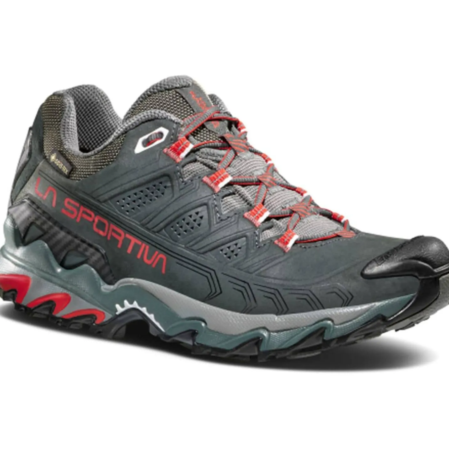 Ultra Raptor II Leather GTX Damen Multifunktionsschuhe