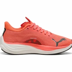 Velocity Nitro 3 Damen Laufschuhe