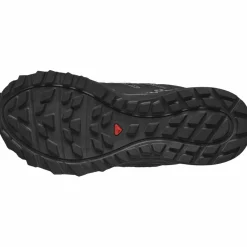 Wander GTX Damen Trailrunningschuhe