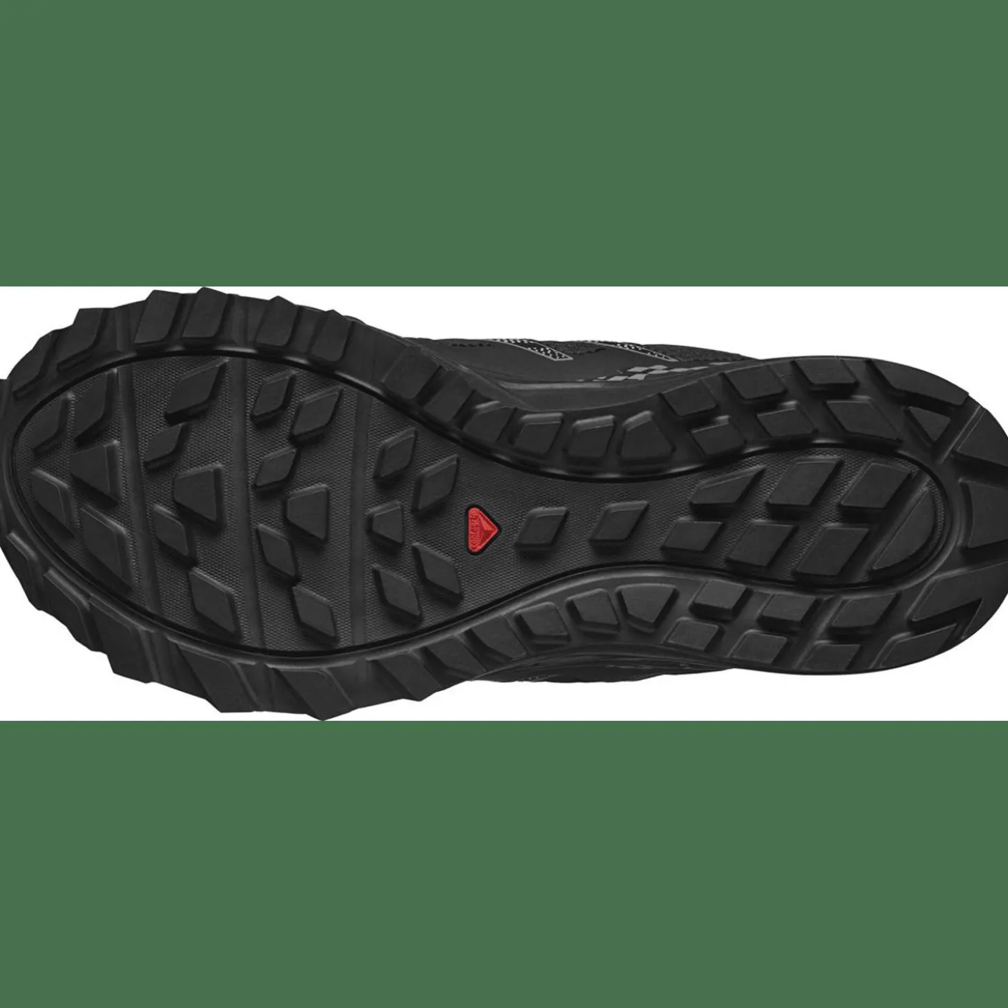 Wander GTX Damen Trailrunningschuhe
