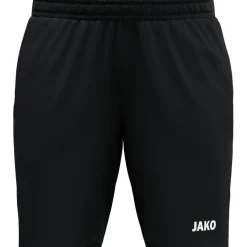 Webshort Dynamic Damen Shorts