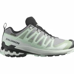 XA Pro 3D V9 GTX Damen Trailrunningschuhe